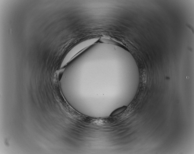 X0000098200611200805221543