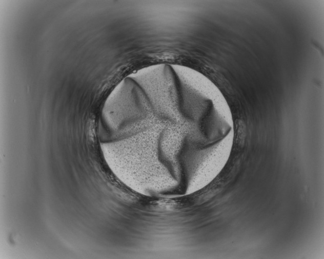 X0000098200612200805221543