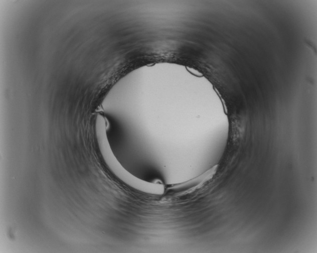 X0000098200613200805221543