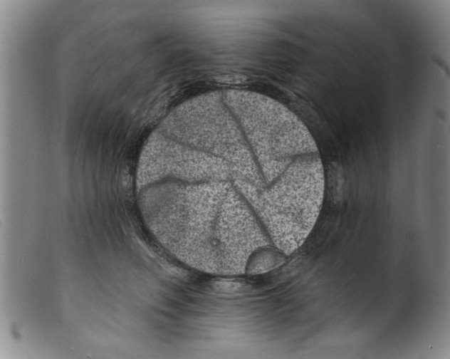 X0000098200614200805221543