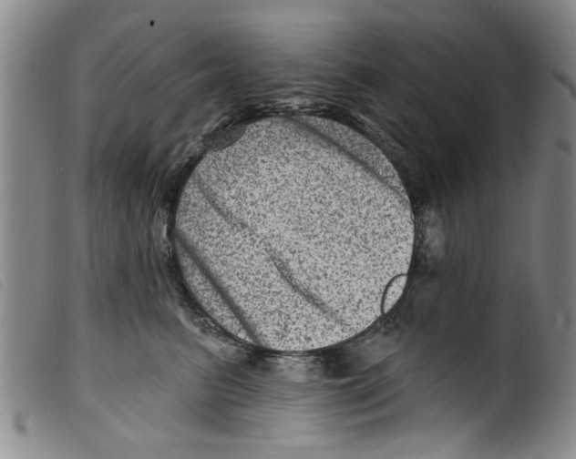X0000098200615200805221543