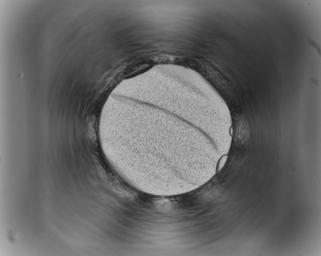 X0000098200616200805221543