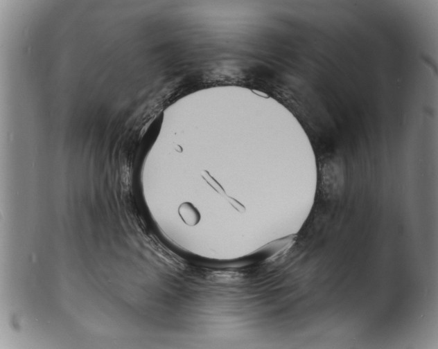 X0000098200617200805221543