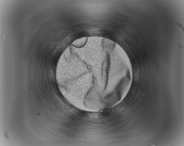 X0000098200618200805221543