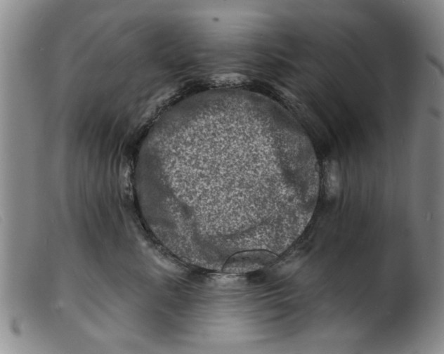 X0000098200619200805221543