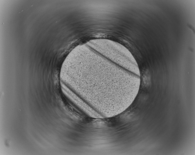 X0000098200620200805221543