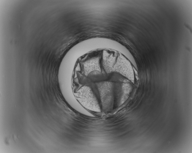 X0000098200621200805221543