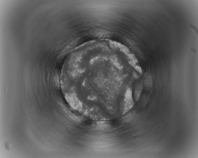 X0000098200622200805221543