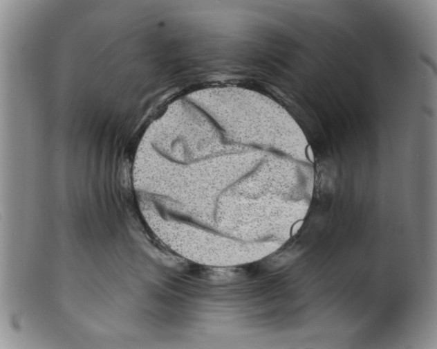 X0000098200623200805221543