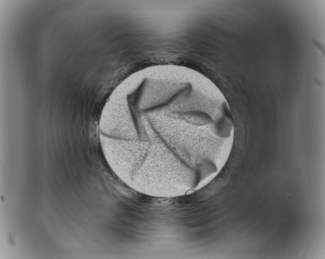 X0000098200624200805221543