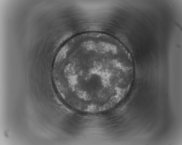 X0000098200625200805221542