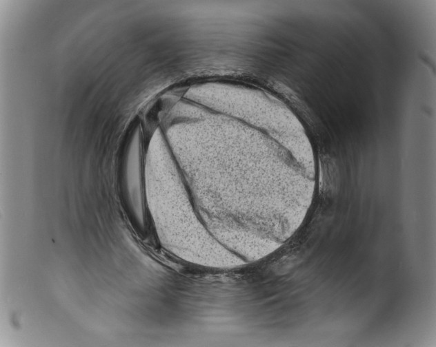 X0000098200627200805221542