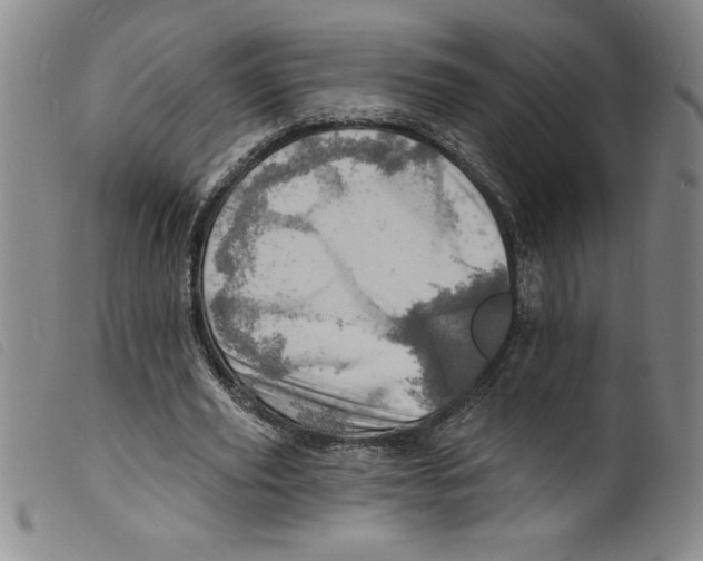 X0000098200629200805221542