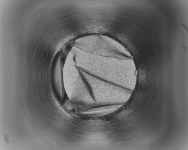 X0000098200630200805221542
