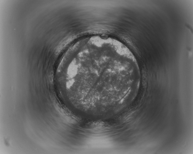 X0000098200631200805221542