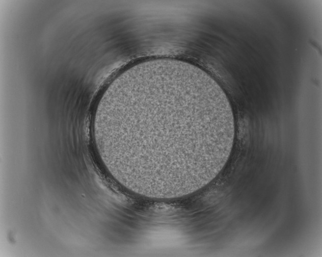 X0000098200632200805221542