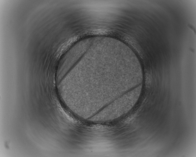 X0000098200633200805221542