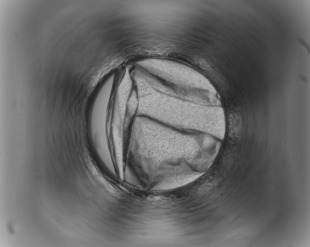 X0000098200634200805221542