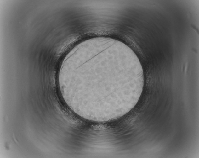 X0000098200635200805221542