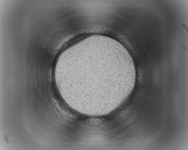 X0000098200636200805221542