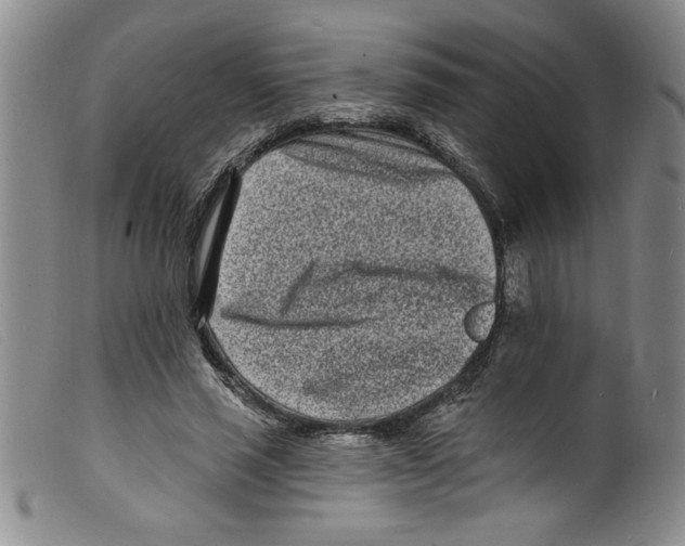 X0000098200637200805221542