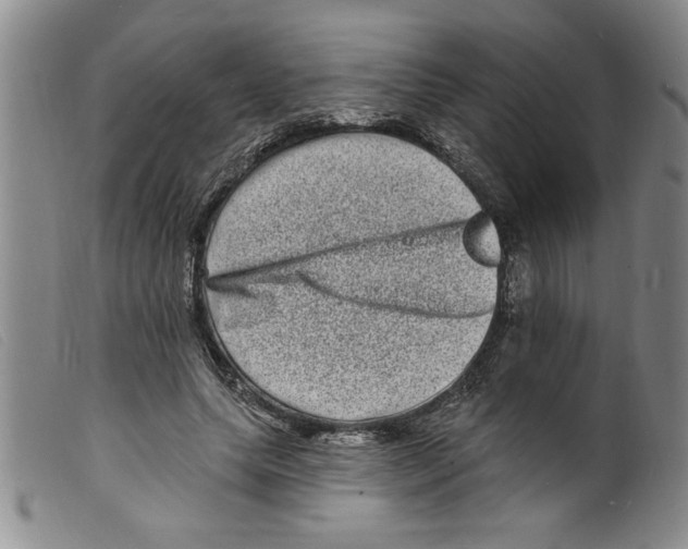 X0000098200639200805221542