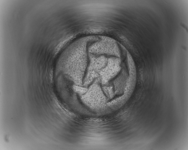 X0000098200640200805221542