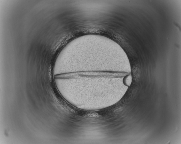 X0000098200642200805221542