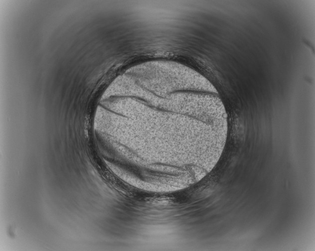 X0000098200643200805221542