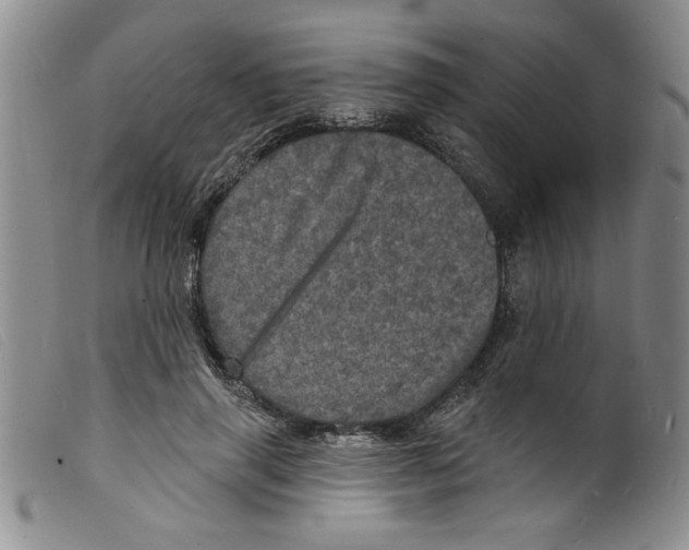 X0000098200645200805221542