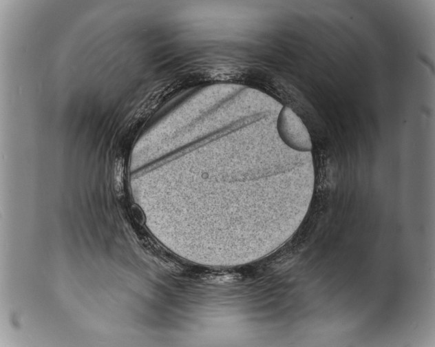X0000098200646200805221542
