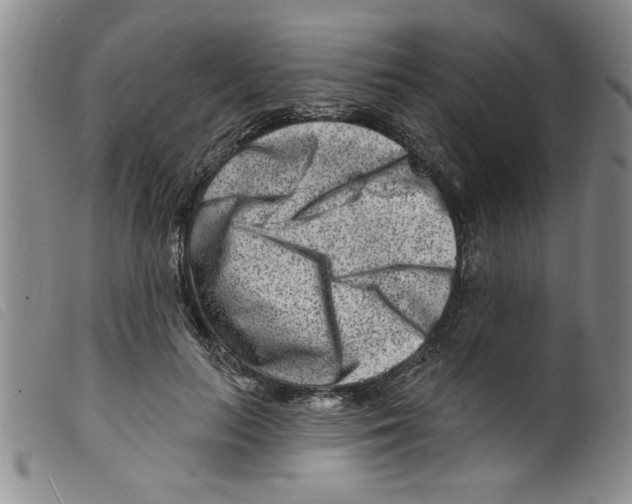 X0000098200647200805221542