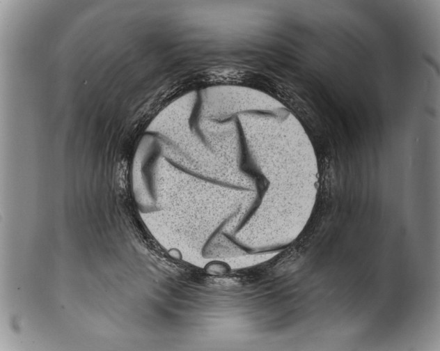 X0000098200649200805221542