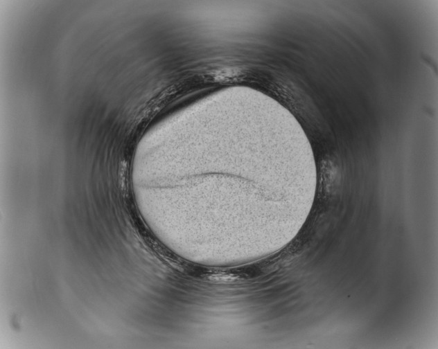 X0000098200650200805221542