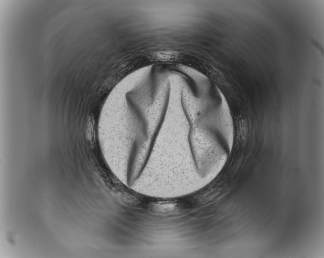 X0000098200651200805221542
