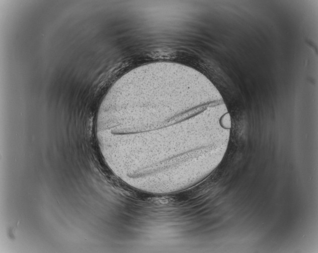 X0000098200652200805221542