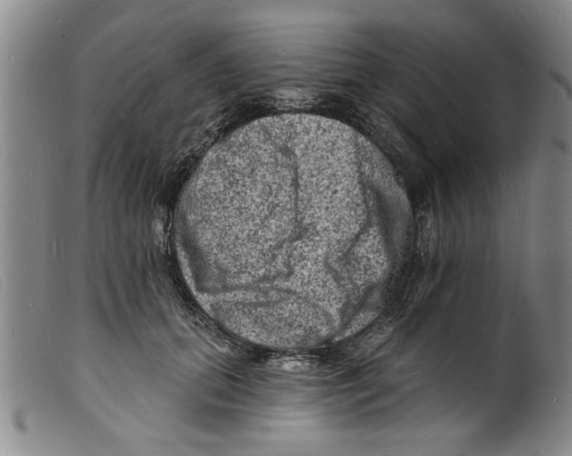 X0000098200655200805221542