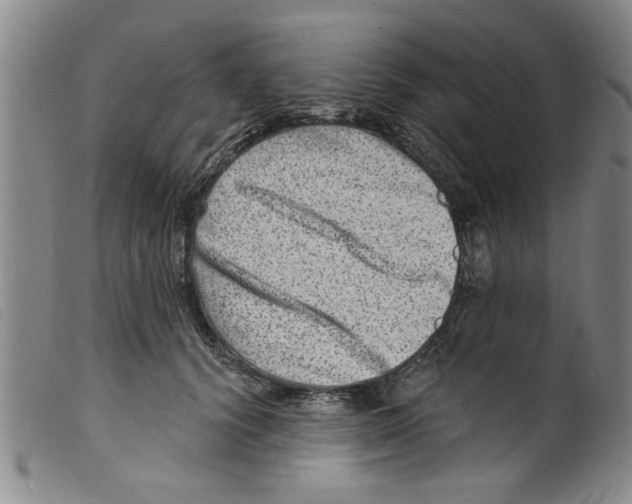 X0000098200656200805221542