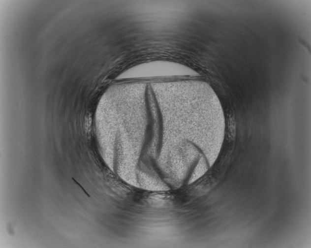 X0000098200657200805221542