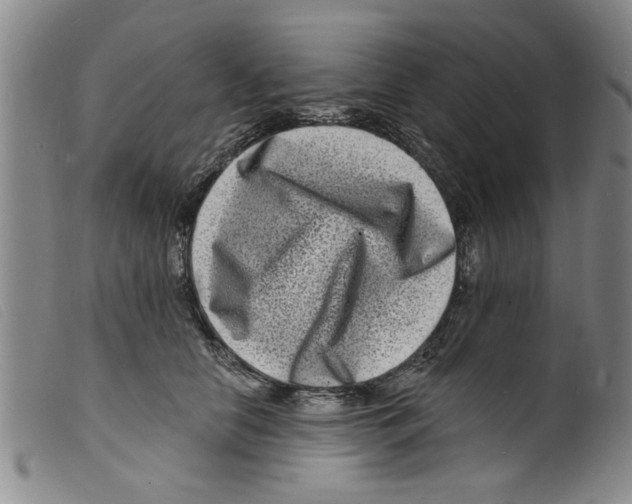 X0000098200658200805221542