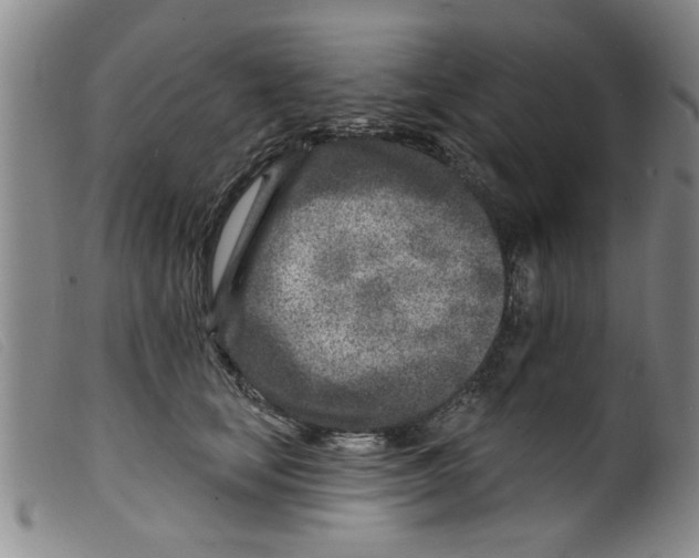 X0000098200659200805221542