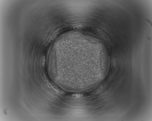X0000098200660200805221542
