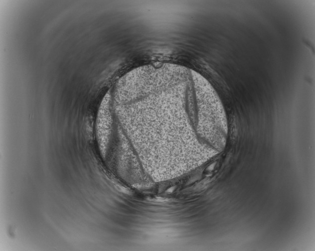 X0000098200661200805221542