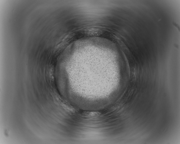 X0000098200663200805221543
