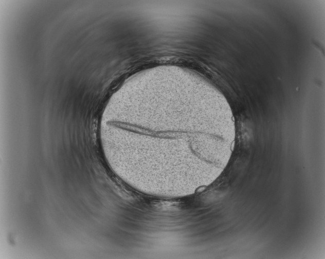 X0000098200664200805221543