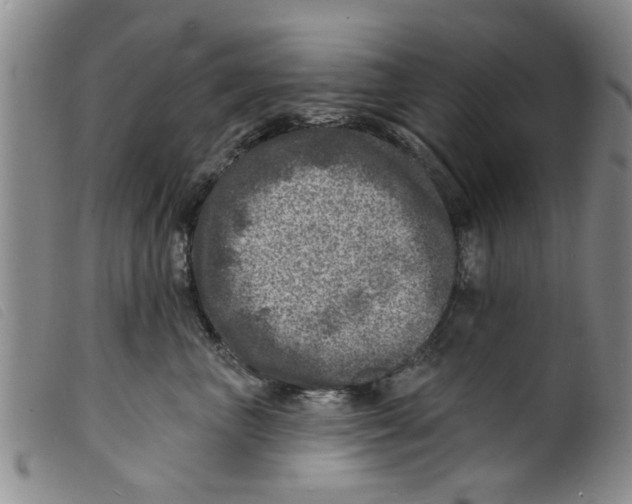 X0000098200667200805221543
