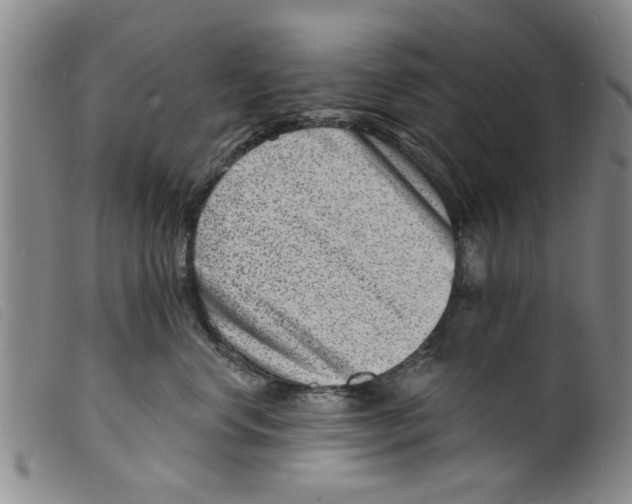 X0000098200668200805221543