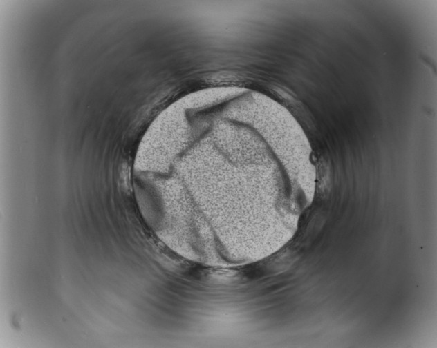 X0000098200669200805221543