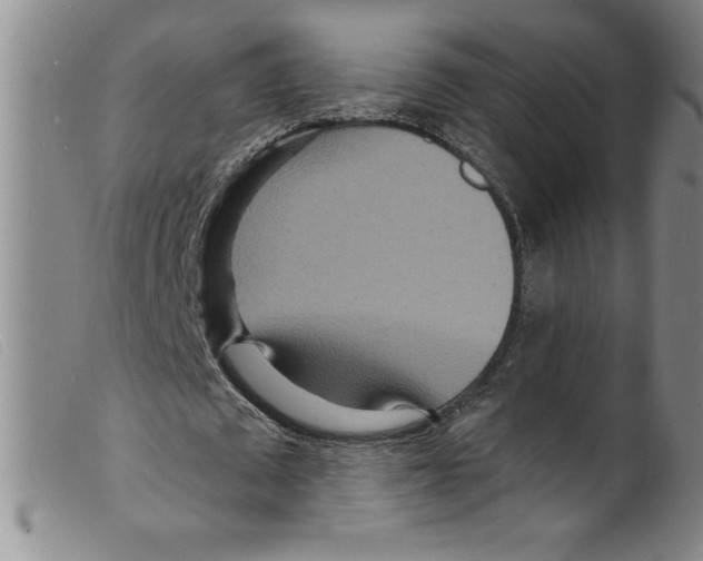 X0000098200673200805221542