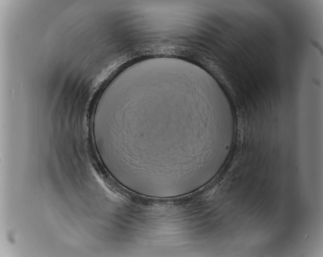X0000098200674200805221542
